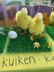 Thema ‘Reis mee terug in de tijd!’